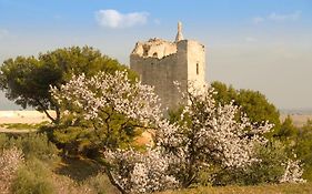 La Maison Du Paradis